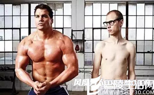 男人的体型区别