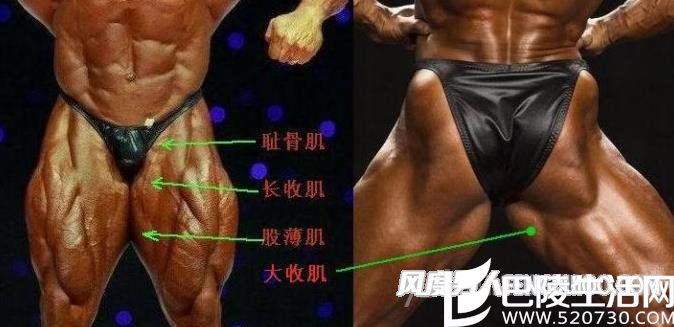 瘦大腿最有效方法