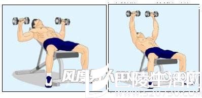 仰卧上斜哑铃推胸