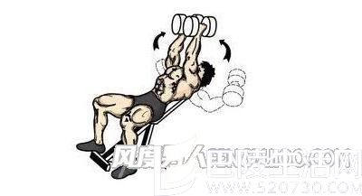 仰卧上斜哑铃飞鸟