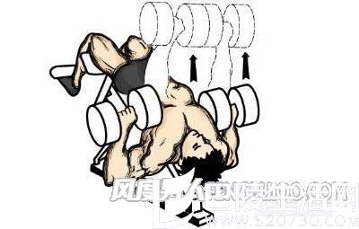 仰卧下斜哑铃推胸