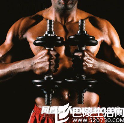 哑铃 哑铃