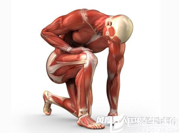 运动后肌肉酸痛怎么办 运动后肌肉酸痛怎么办