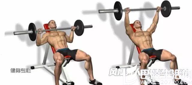 练胸肌动作 练胸肌动作