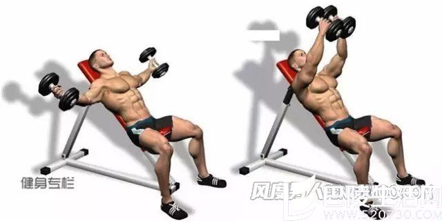 练胸肌动作 练胸肌动作