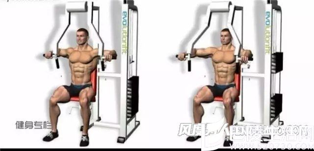 器械推胸 器械推胸