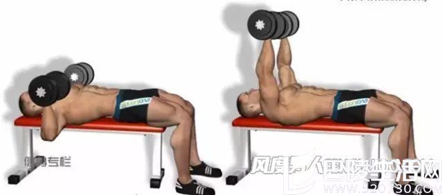 练胸肌动作