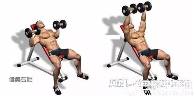 上斜板哑铃卧推