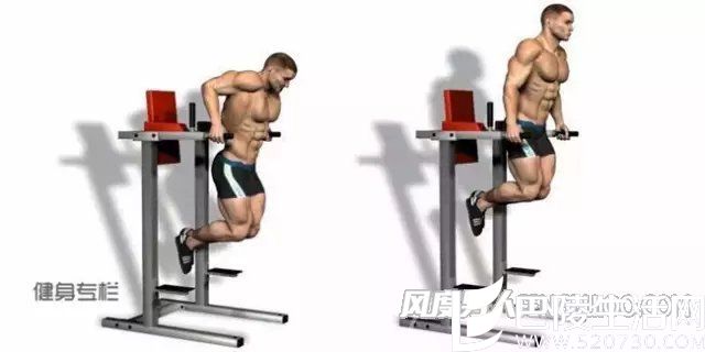 练胸肌动作 练胸肌动作