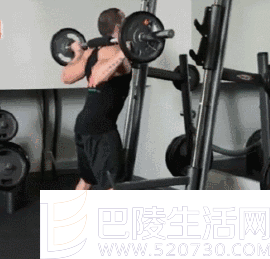 杠铃深蹲 杠铃深蹲