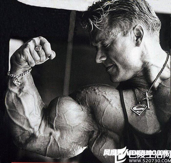 手臂肌肉 手臂肌肉