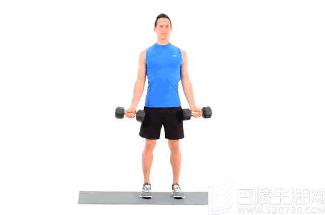 哑铃屈臂 哑铃屈臂