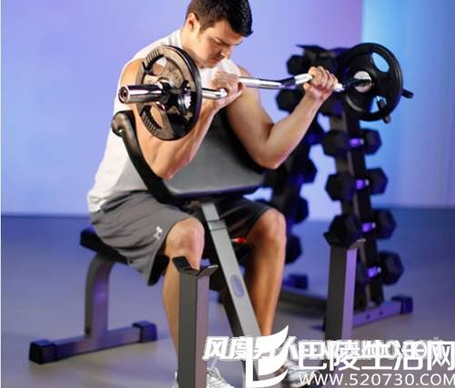 曲杠反握弯举