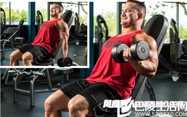 上斜哑铃弯举