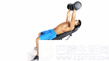 哑铃上斜卧推