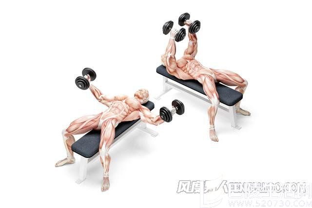 器械直臂夹胸 器械直臂夹胸