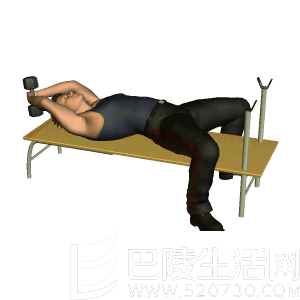仰卧哑铃屈臂提拉 仰卧哑铃屈臂提拉