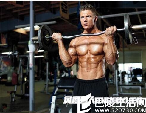 杠铃健身 杠铃健身