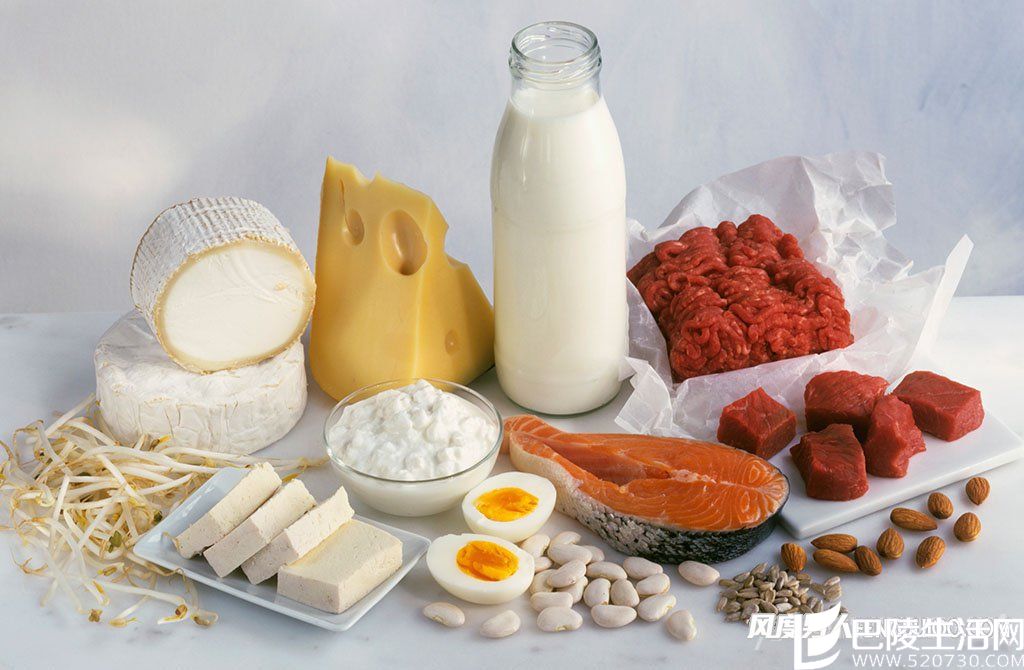 富含蛋白质食物