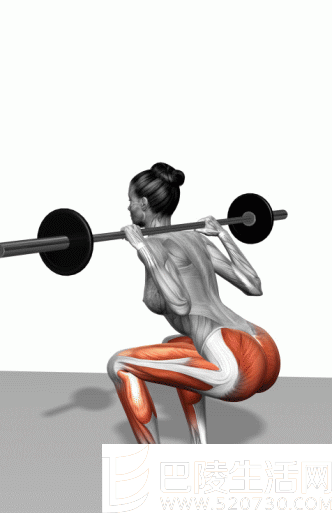 杠铃深蹲的标准动作
