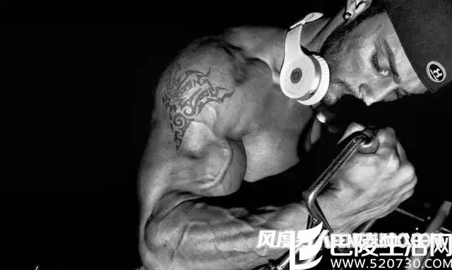 肌肉展示 肌肉展示