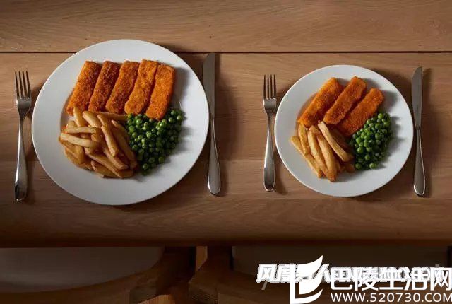 盘子减肥法 盘子减肥法