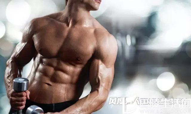 肌肉训练 肌肉训练