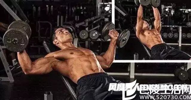 哑铃推举 哑铃推举