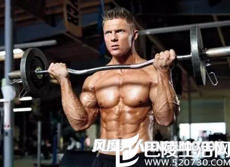 快速增肌 快速增肌