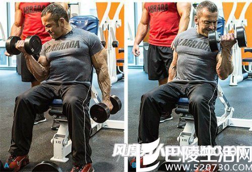 坐姿哑铃臂弯举