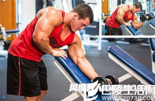 如何锻炼手臂肌肉 如何锻炼手臂肌肉