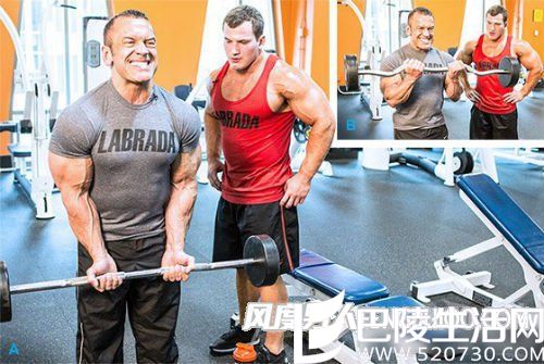 杠铃弯举 杠铃弯举