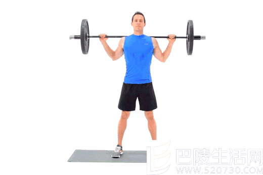 杠铃深蹲 杠铃深蹲