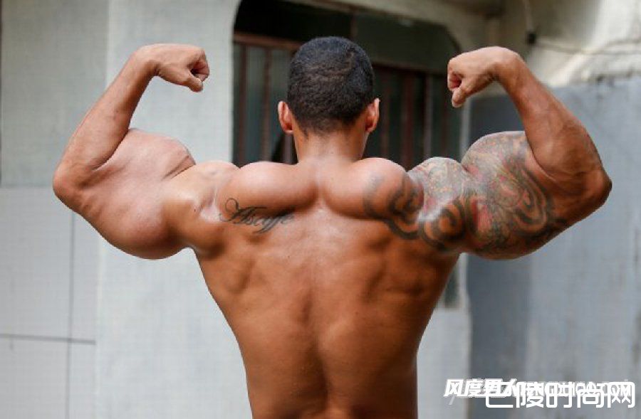 肱二头肌 肱二头肌