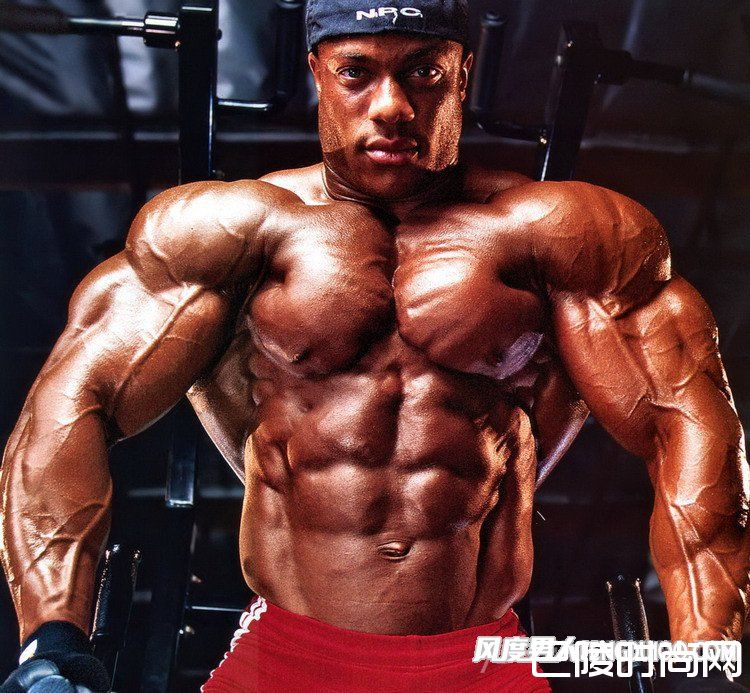 肱二头肌 肱二头肌