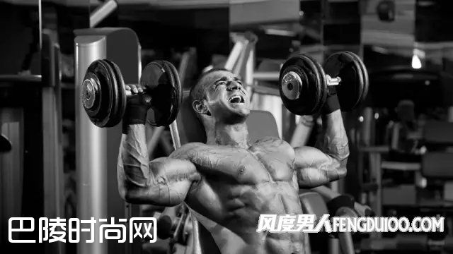 哑铃推举与侧平举