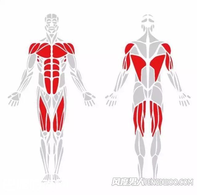后背肌肉怎么练