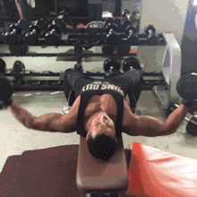 哑铃飞鸟 哑铃飞鸟