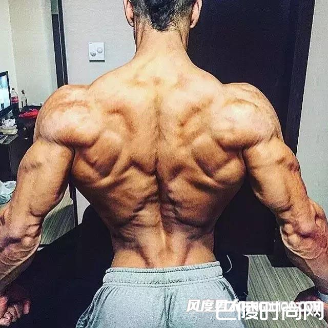 增肌教程 增肌教程