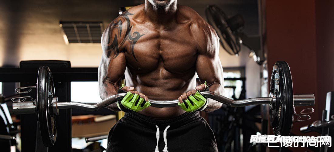 健身 减肥 健身 减肥