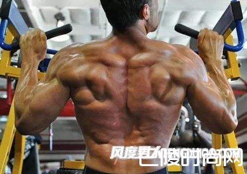 固定器械高位下拉