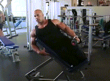 单手侧平举 单手侧平举