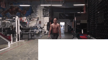 悬垂举腿 悬垂举腿