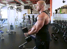 单哑铃上提 单哑铃上提