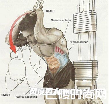 跪姿卷腹 跪姿卷腹