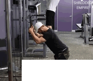 正确示范 正确示范