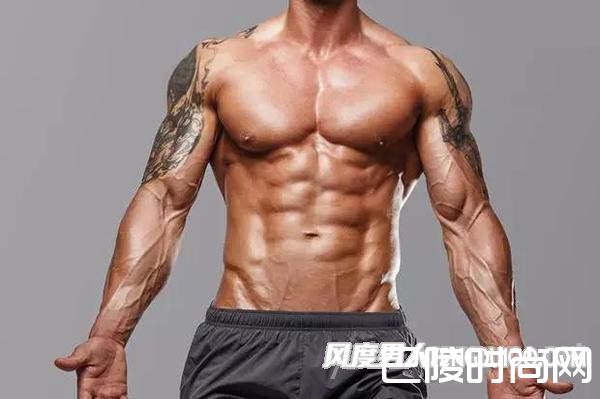 肌肉训练 肌肉训练