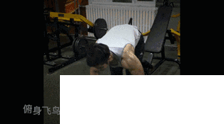 俯身飞鸟-正手 对握