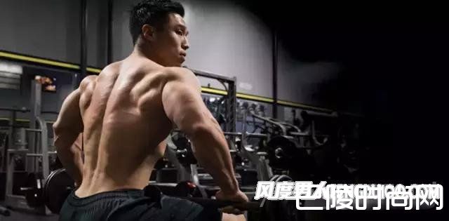 高强度背部训练