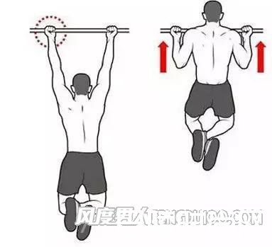 反手窄距引体向上
